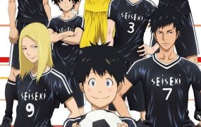 粤语动画片绿茵小球王全24集 DAYS粤语版