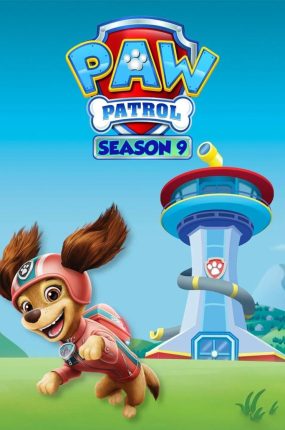 粤语动画片汪汪队立大功第9季全26集 狗狗巡逻队第9季粤语版